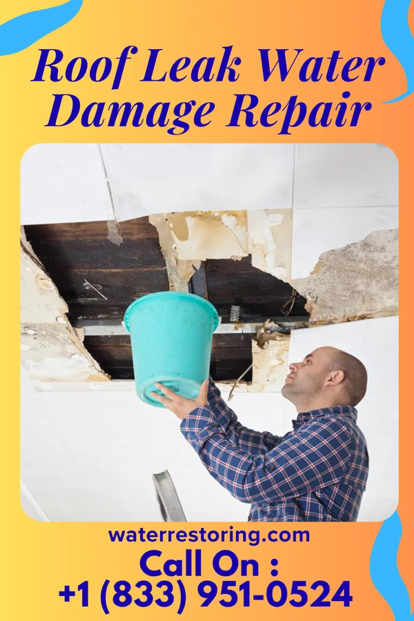 Roof Leak Water Damage Repair in Bawcomville, LA