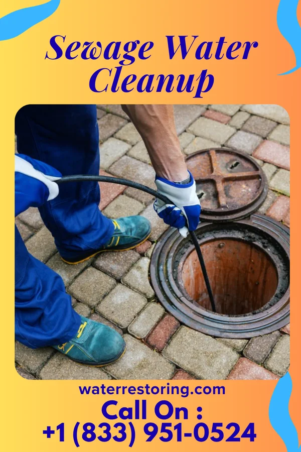Sewage Water Cleanup in Bawcomville, LA